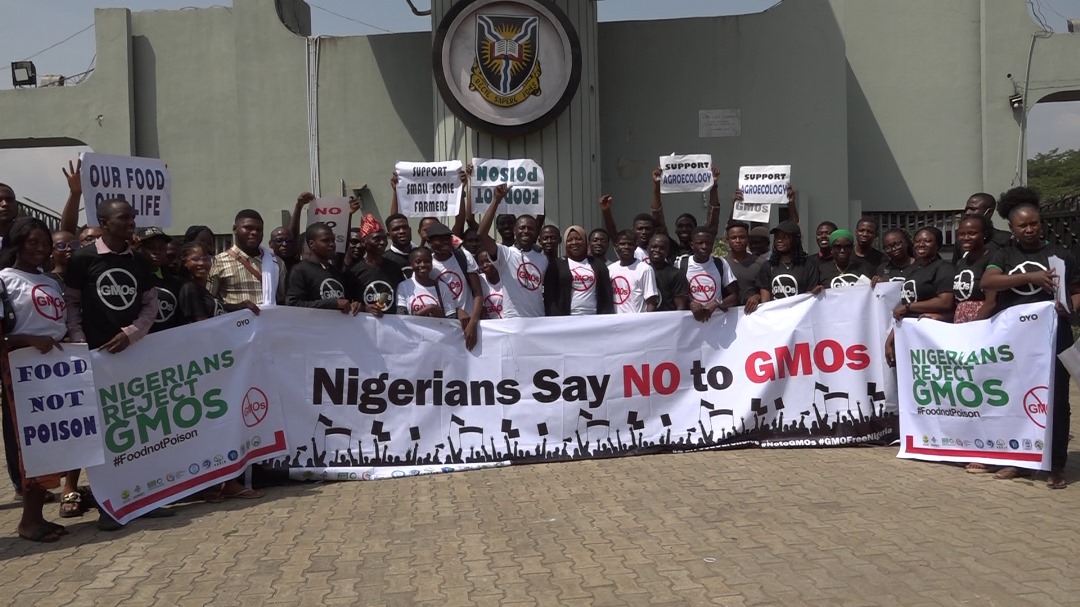 Health Over Profit: Agric Experts Unite Against GMOs, Prioritising Public Safety IMG 20241213 WA0020