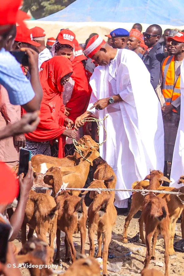 Gov Yusuf Empowers Kano Women, Distributes Goats To Alleviate Poverty 1737489709075