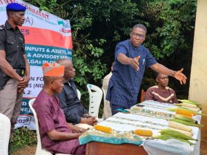YEAP Beneficiaries Debunk Rumors Of Abandonment, Praise Makinde's Support IMG 20250806 WA0003 300x225