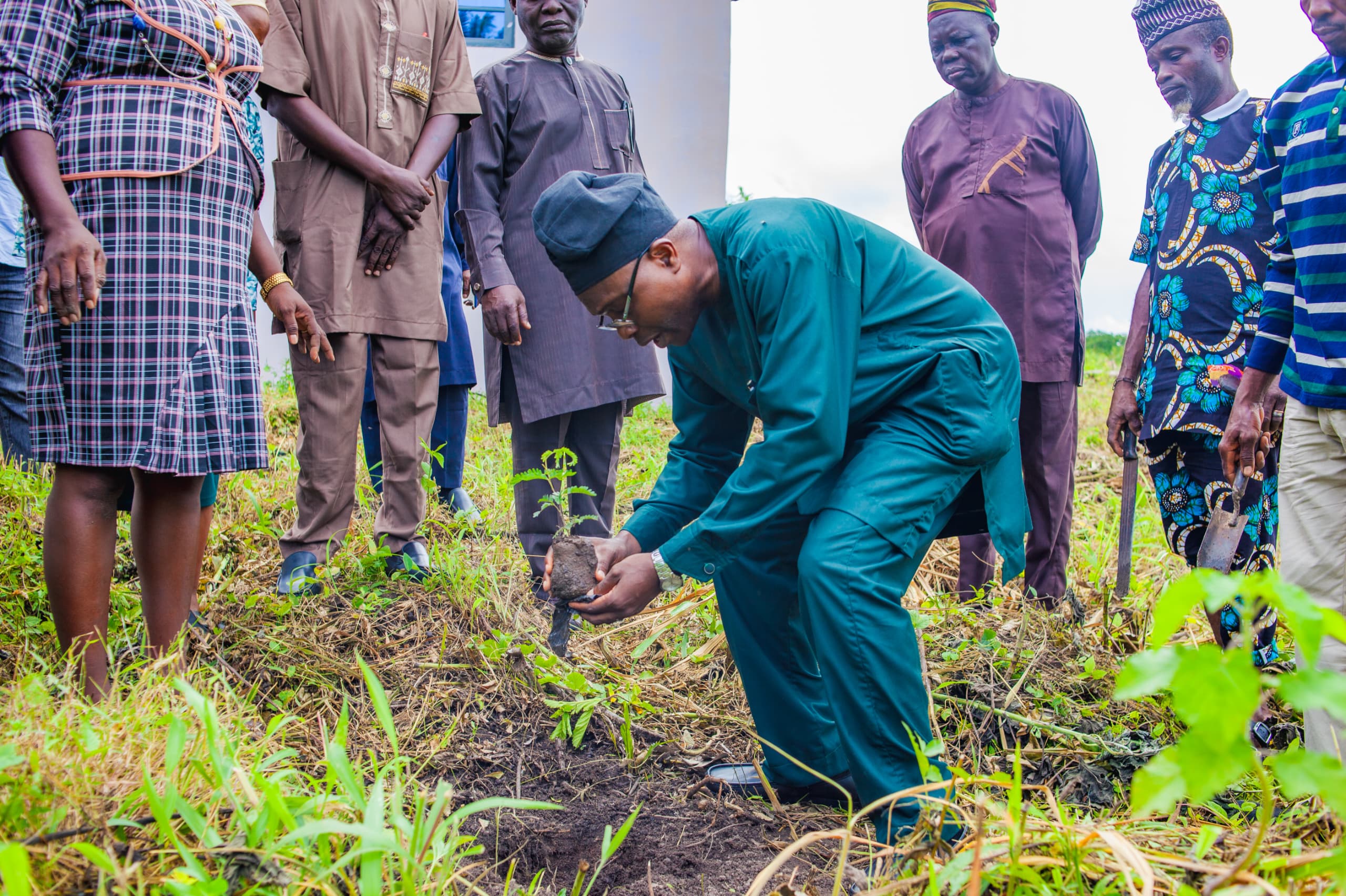 FUNATO Expands Green Initiative As VC Leads Tree-Planting Campaign At Technology Campus img 20260724 wa0005